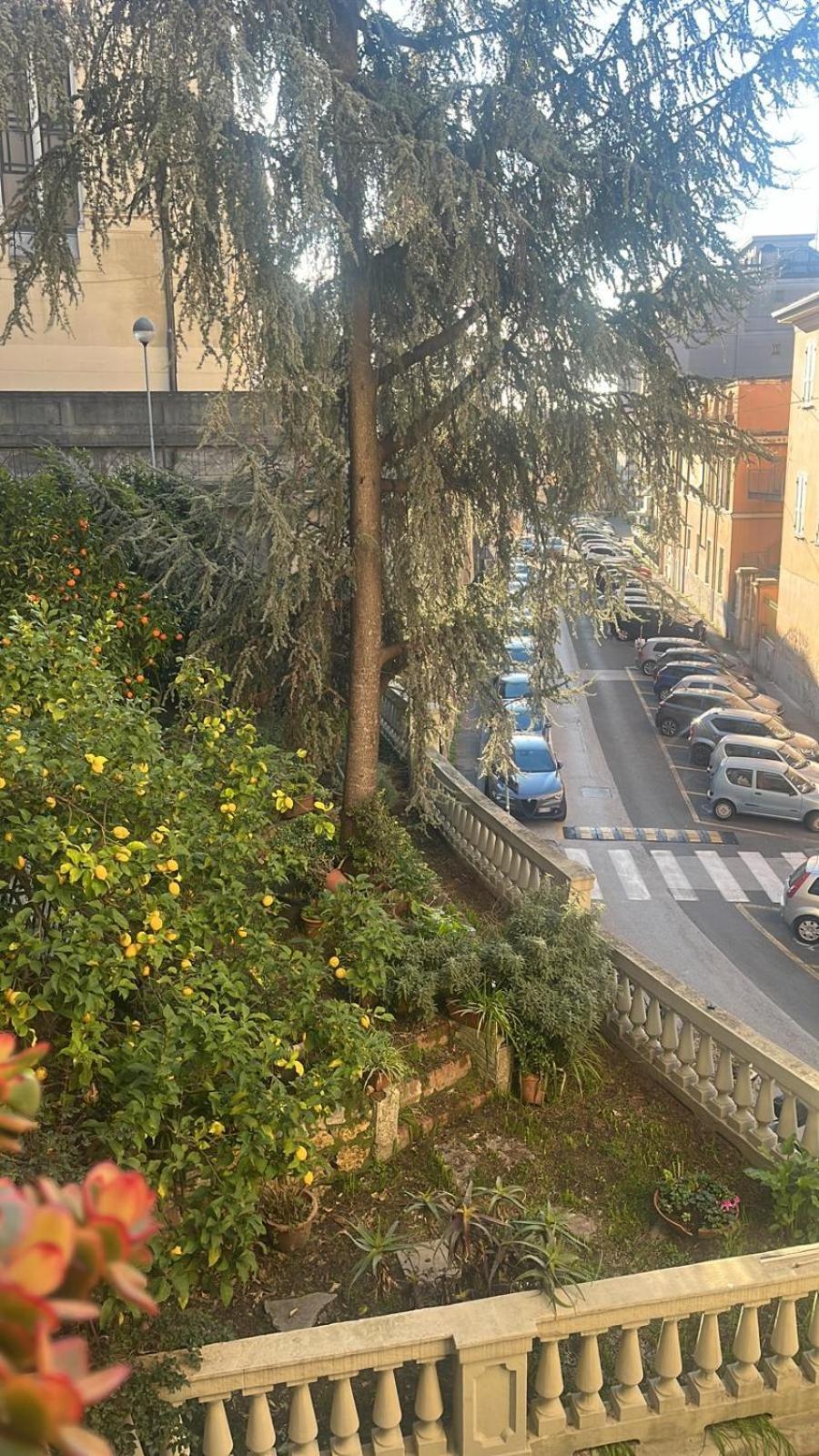 Delizioso Appartamento 斯培西亚 外观 照片